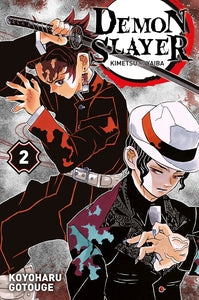 Demon Slayer T02 - Livre d'occasion