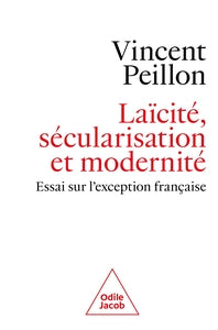 LAICITE, SECULARISATION ET MODERNITE - ESSAI SUR L'EXCEPTION FRANCAISE - Livre d'occasion