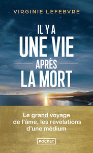 Il y a une vie apres la mort - les revelations d'une medium - Livre d'occasion