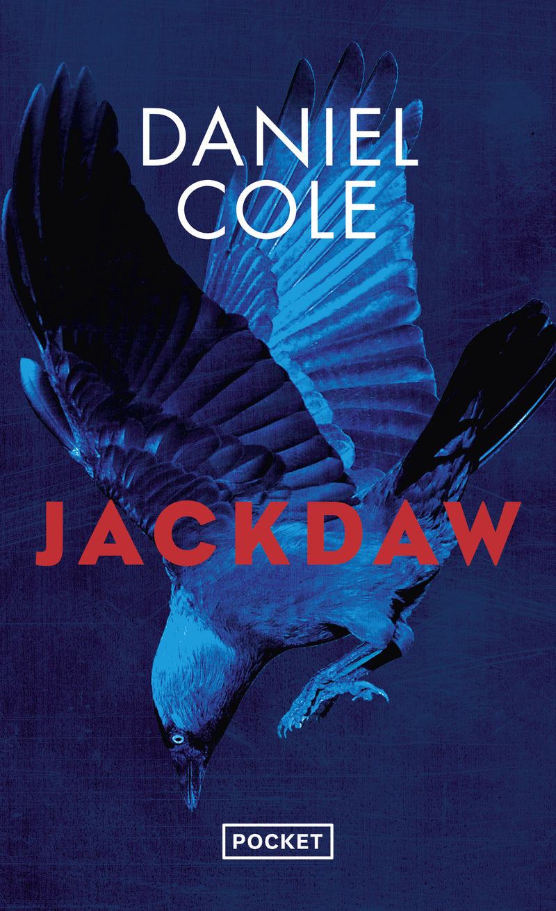 Jackdaw - Livre d'occasion