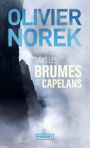 Dans les brumes de Capelans - Livre d'occasion