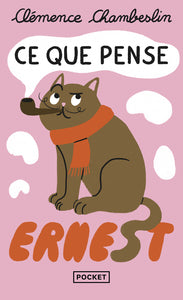 CE QUE PENSE ERNEST - Livre d'occasion