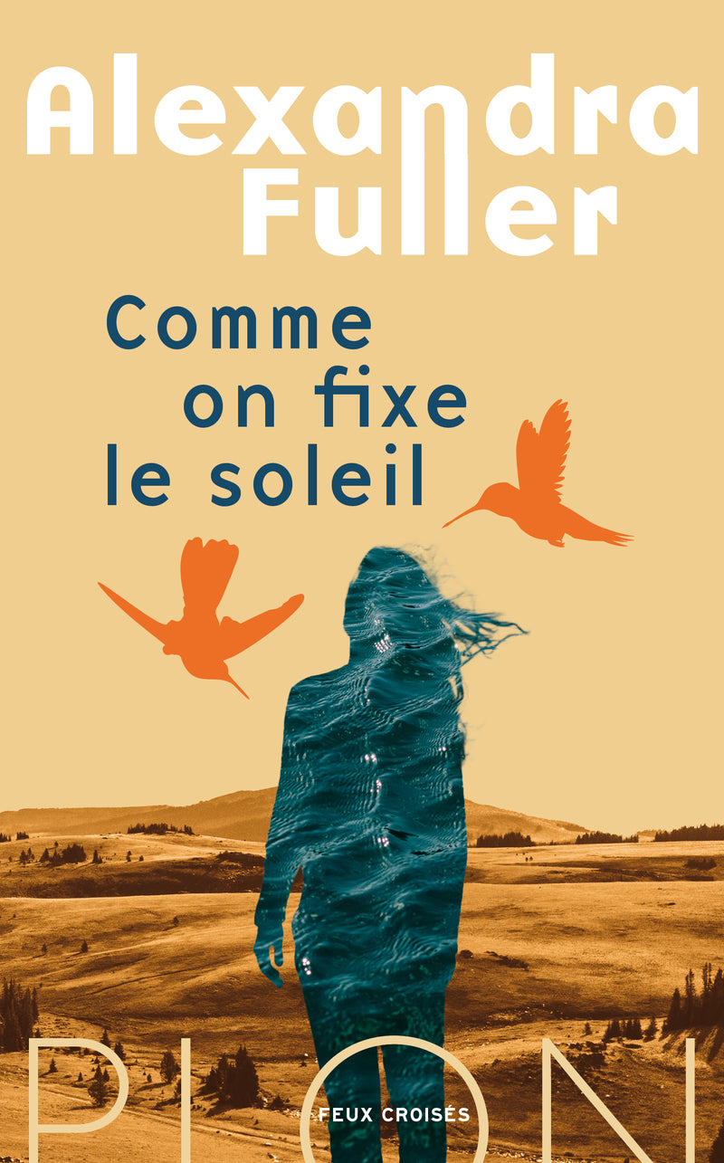 Comme on fixe le soleil - Livre d'occasion