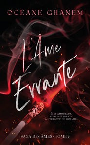 La saga des ames - l'ame errante - saga des ames tome 3 - apres l'ame bleue - Livre d'occasion