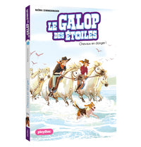 Le galop des etoiles - chevaux en danger - tome 10 - Livre d'occasion