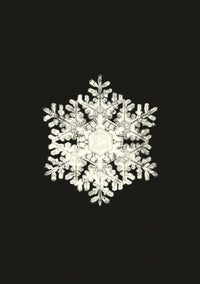 Carnet - flocons de neige - Livre d'occasion