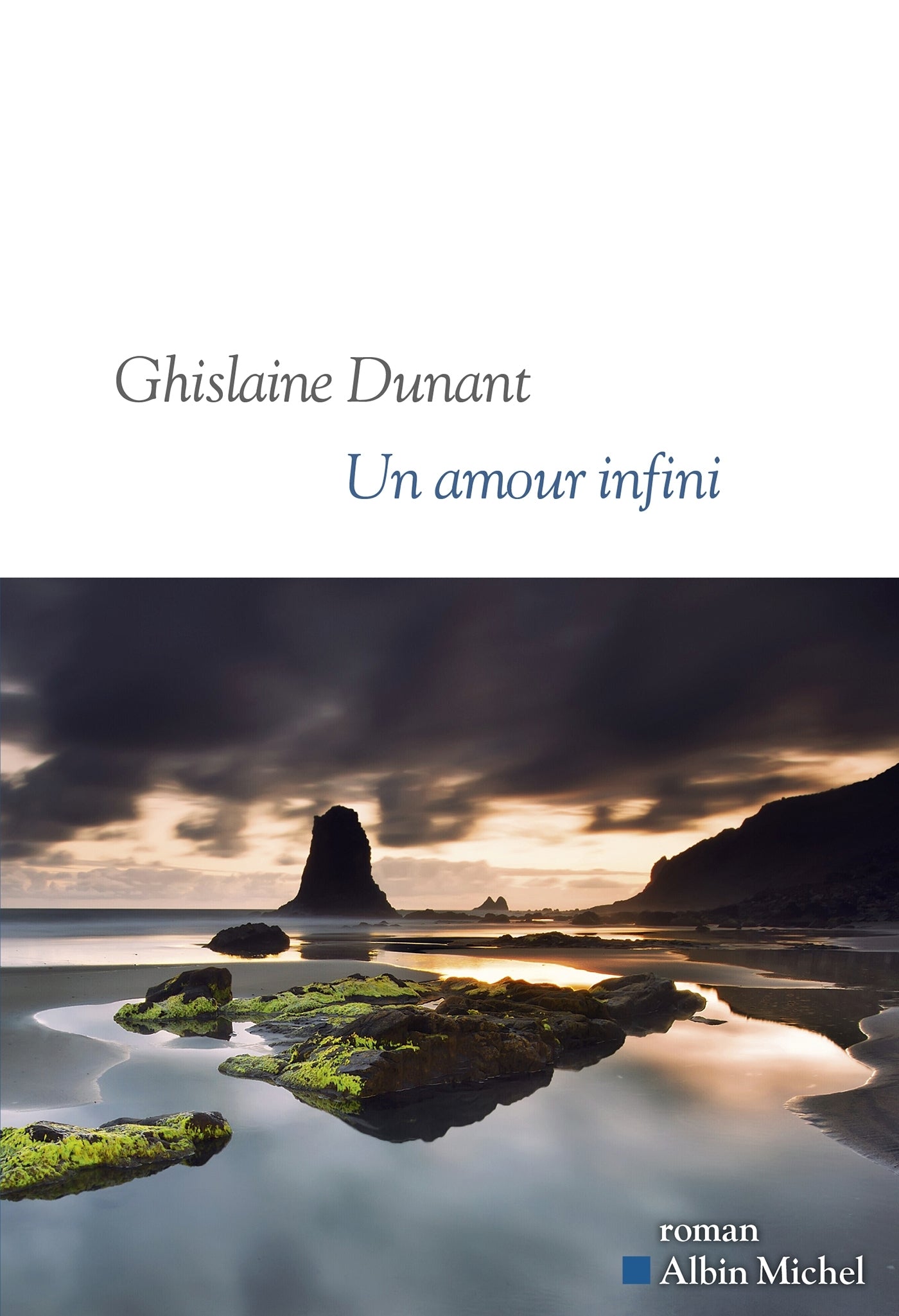 Un amour infini - selections prix goncourt et medicis - Livre d'occasion