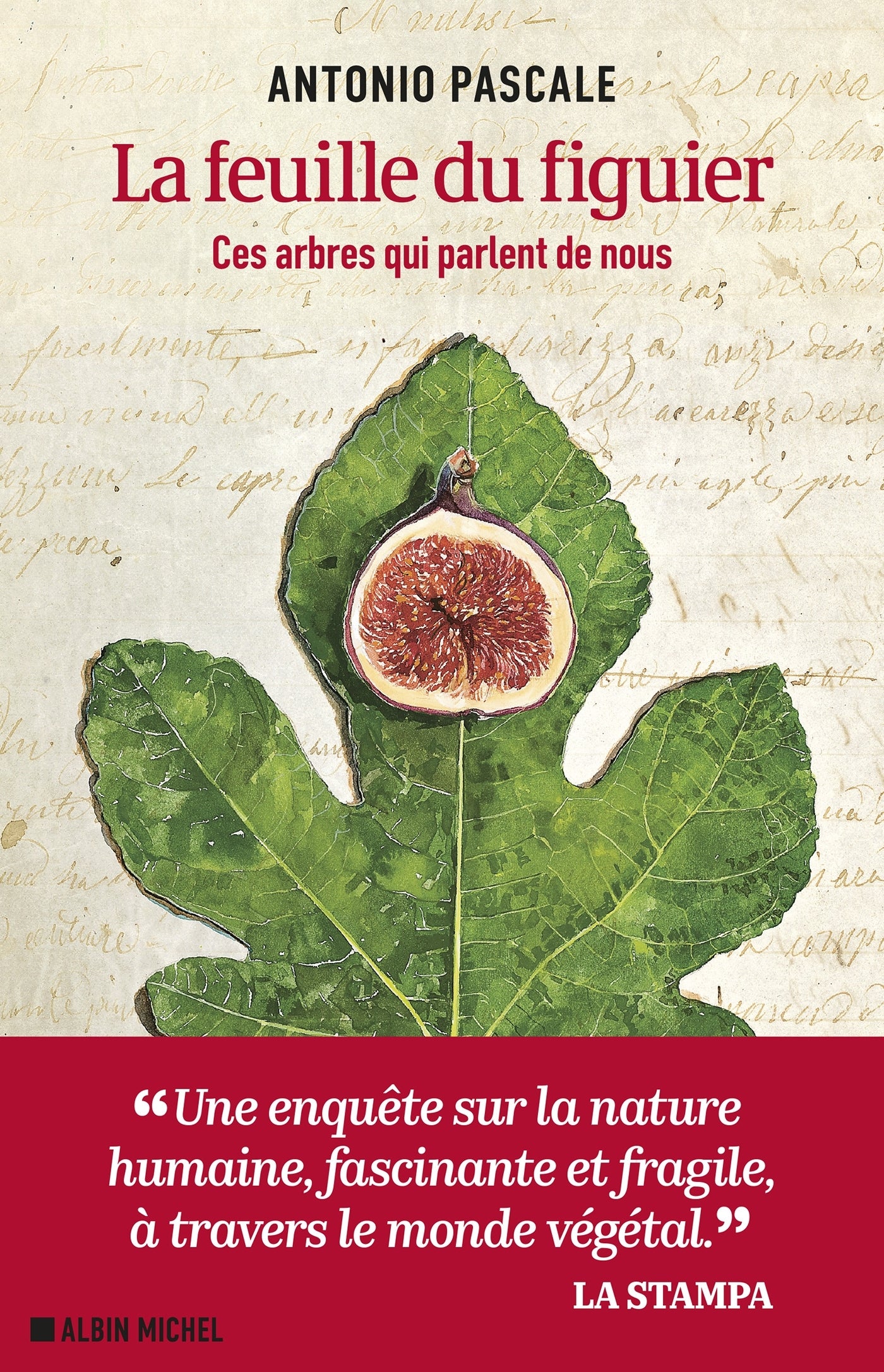 La feuille du figuier - ces arbres qui parlent de nous - Livre d'occasion