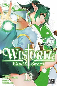 WISTORIA - WAND AND SWORD T13 - Livre d'occasion
