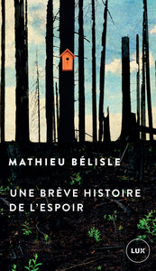 UNE BREVE HISTOIRE DE L'ESPOIR - Livre d'occasion