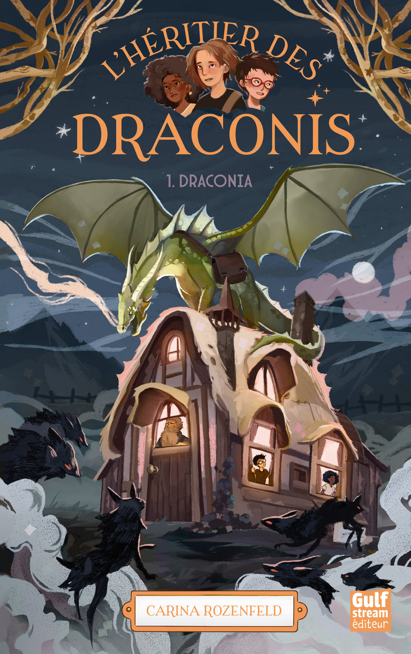 L'heritier des draconis - nouvelle edition - tome 1 draconia - Livre d'occasion