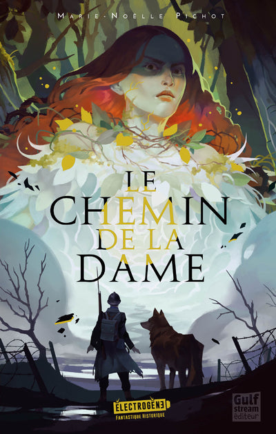 Le chemin de la dame - Livre d'occasion