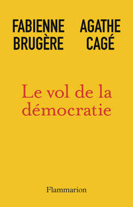 LE VOL DE LA DEMOCRATIE - Livre d'occasion