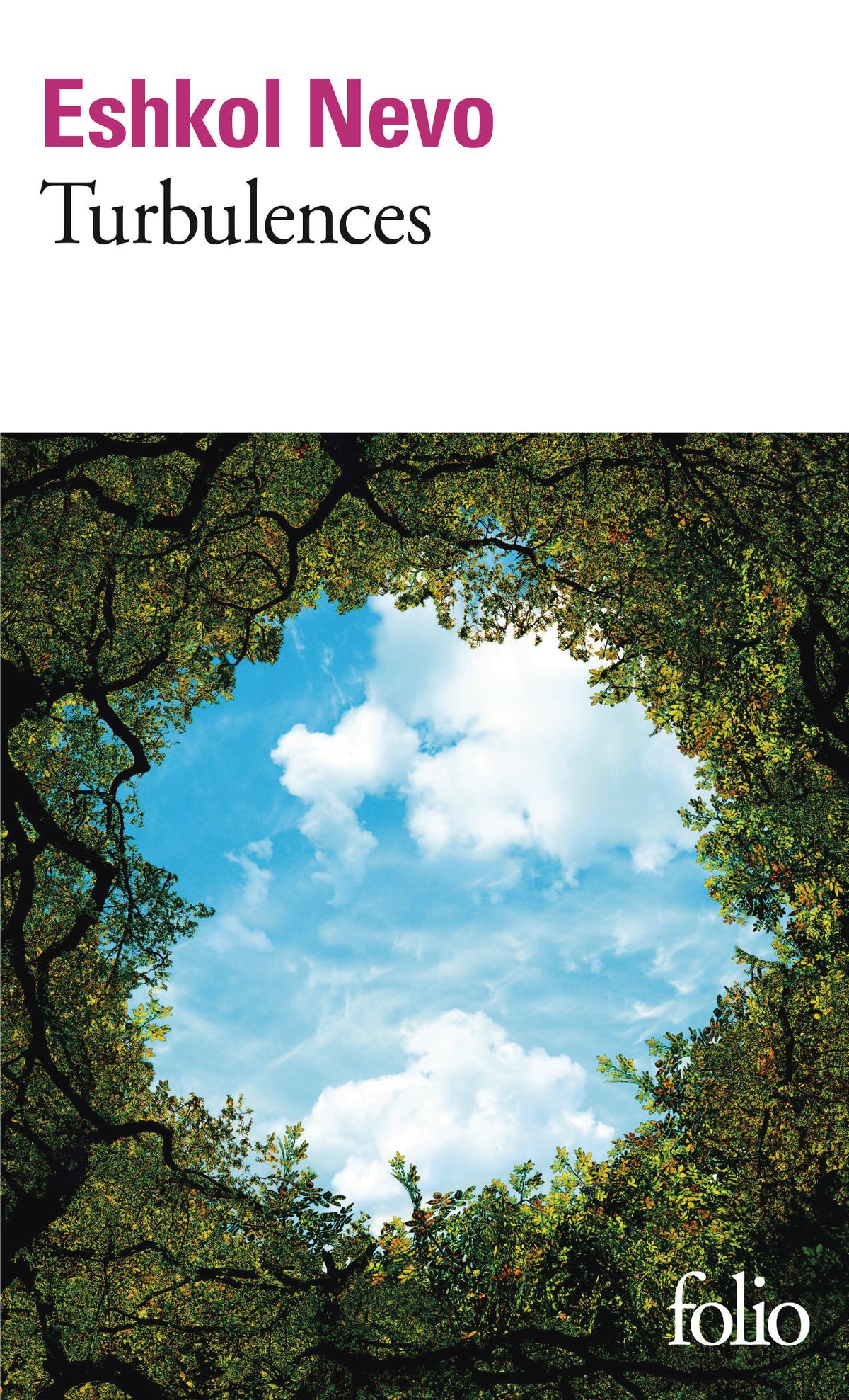 Turbulences - Livre d'occasion