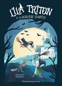 Lila triton et la sorciere tempete - Livre d'occasion