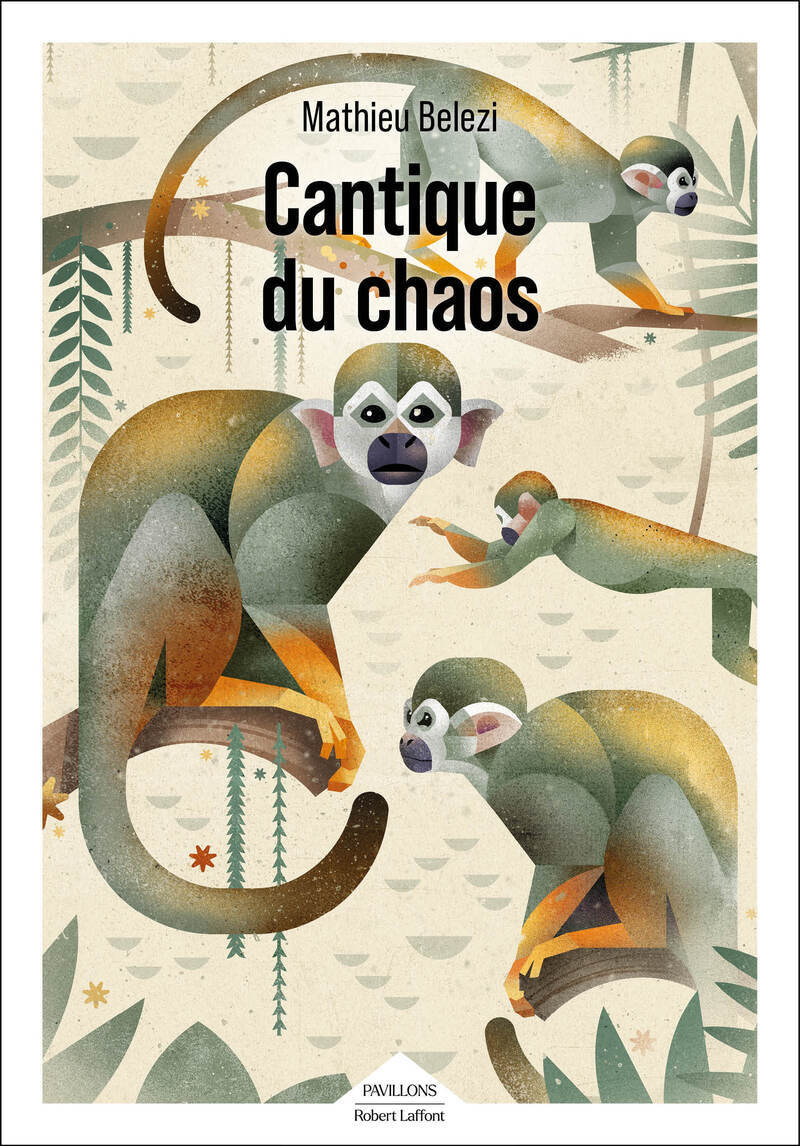 Cantique du chaos - Livre d'occasion