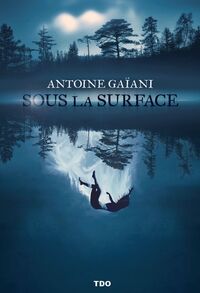 Sous la surface - Livre d'occasion