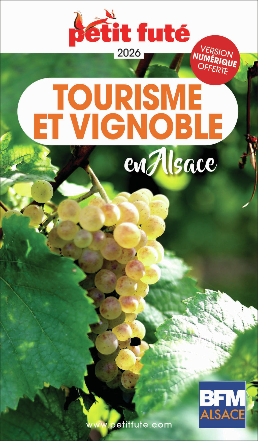 Guide tourisme et vignoble en alsace 2026/2027 petit fute - Livre d'occasion