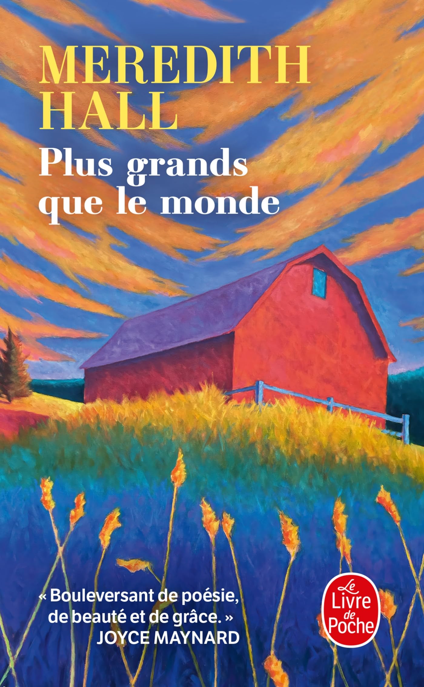 Plus grands que le monde - Livre d'occasion