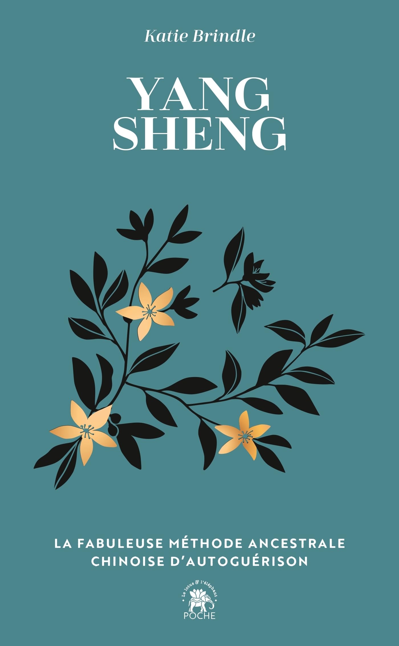 Yang Sheng: La fabuleuse méthode ancestrale chinoise d'autoguérison - Livre d'occasion