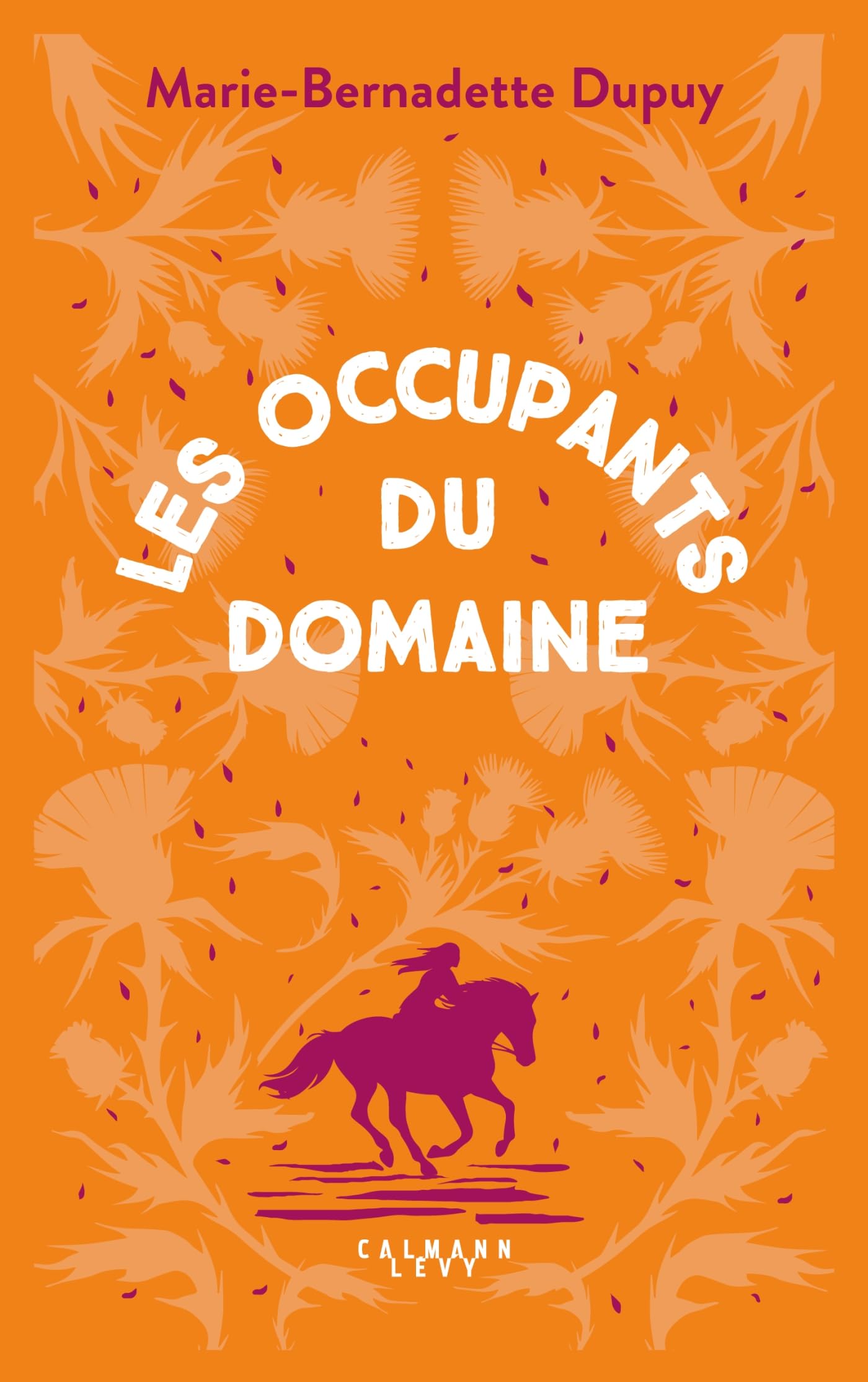 Le Moulin du Loup, T6 - Les Occupants du Domaine - Livre d'occasion