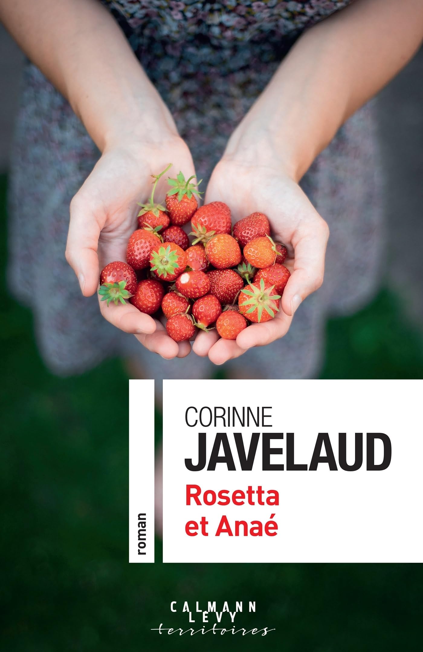 Rosetta et Anaé - Livre d'occasion