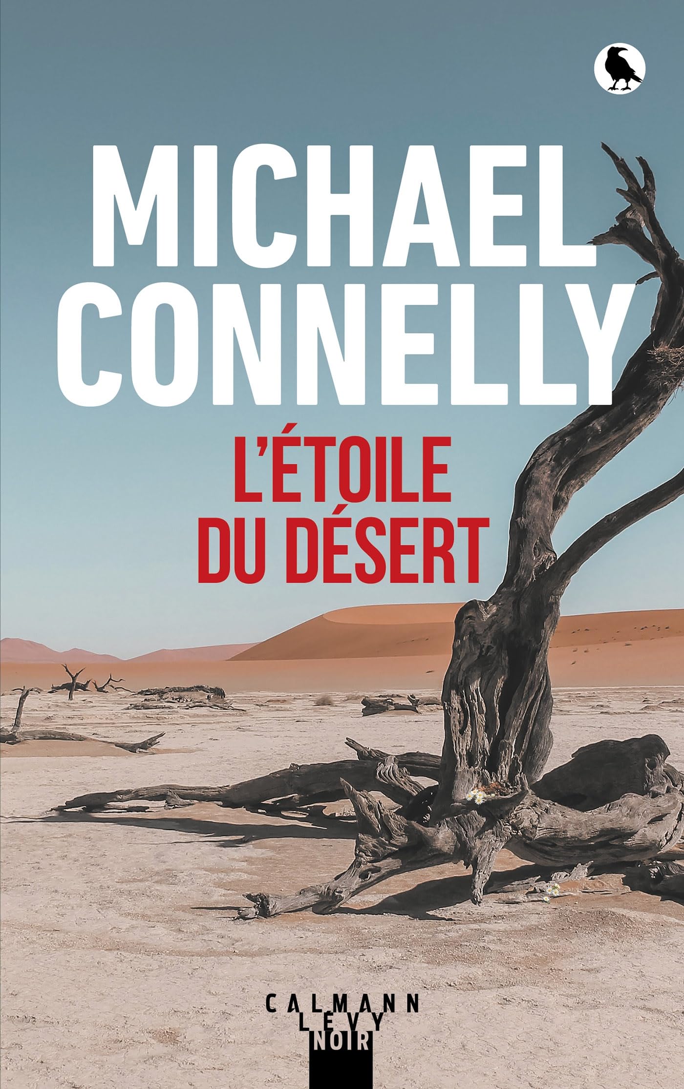 L'Étoile du désert - Livre d'occasion