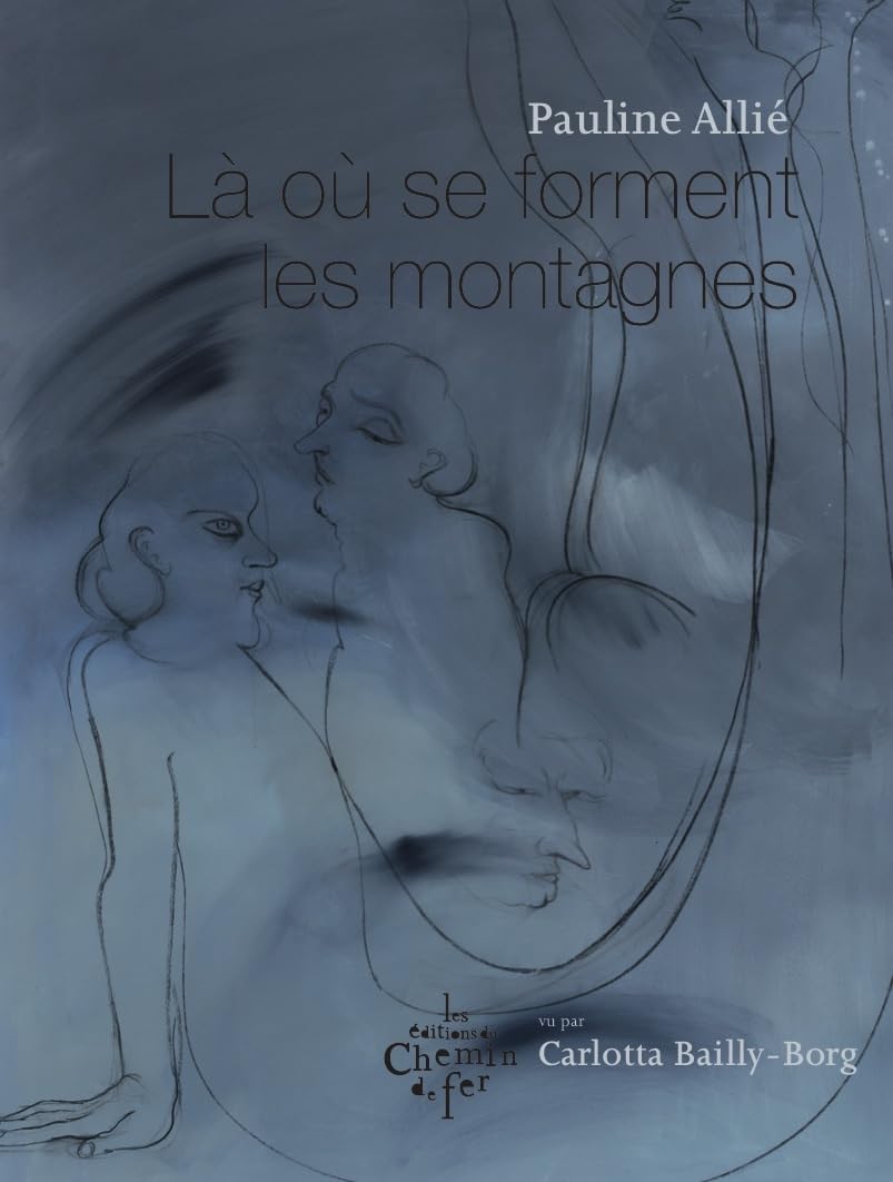 Là où se forment les montagnes - Livre d'occasion