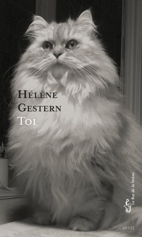 Toi - Livre d'occasion