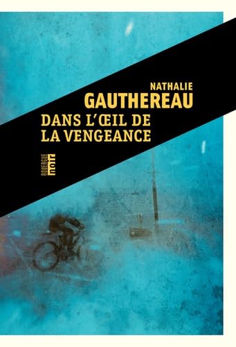 Dans l'œil de la vengeance - Livre d'occasion
