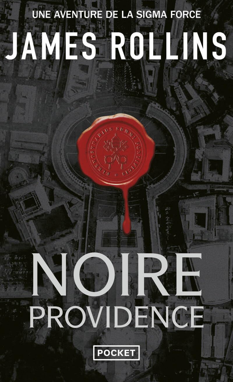 Noire providence - Livre d'occasion
