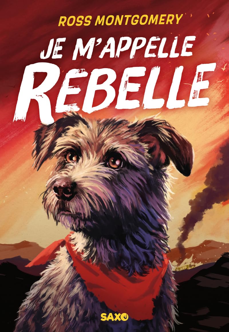 Je m'appelle rebelle (broche) - Livre d'occasion