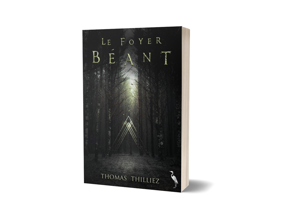 Le foyer béant - Livre d'occasion