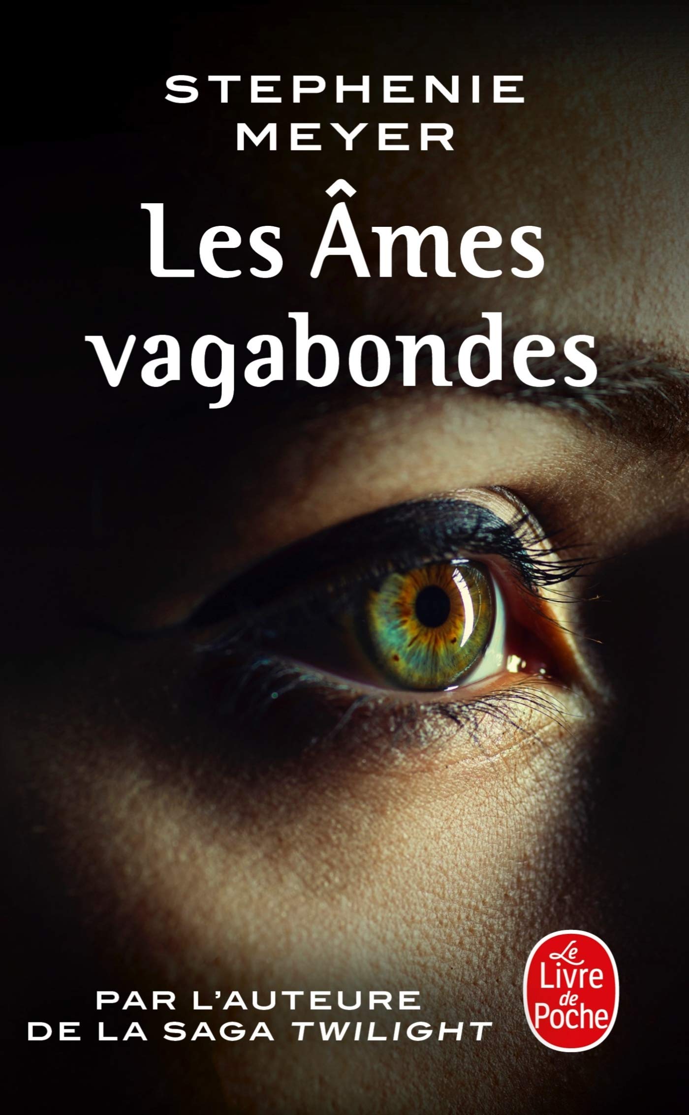 Les Âmes vagabondes - Livre d'occasion