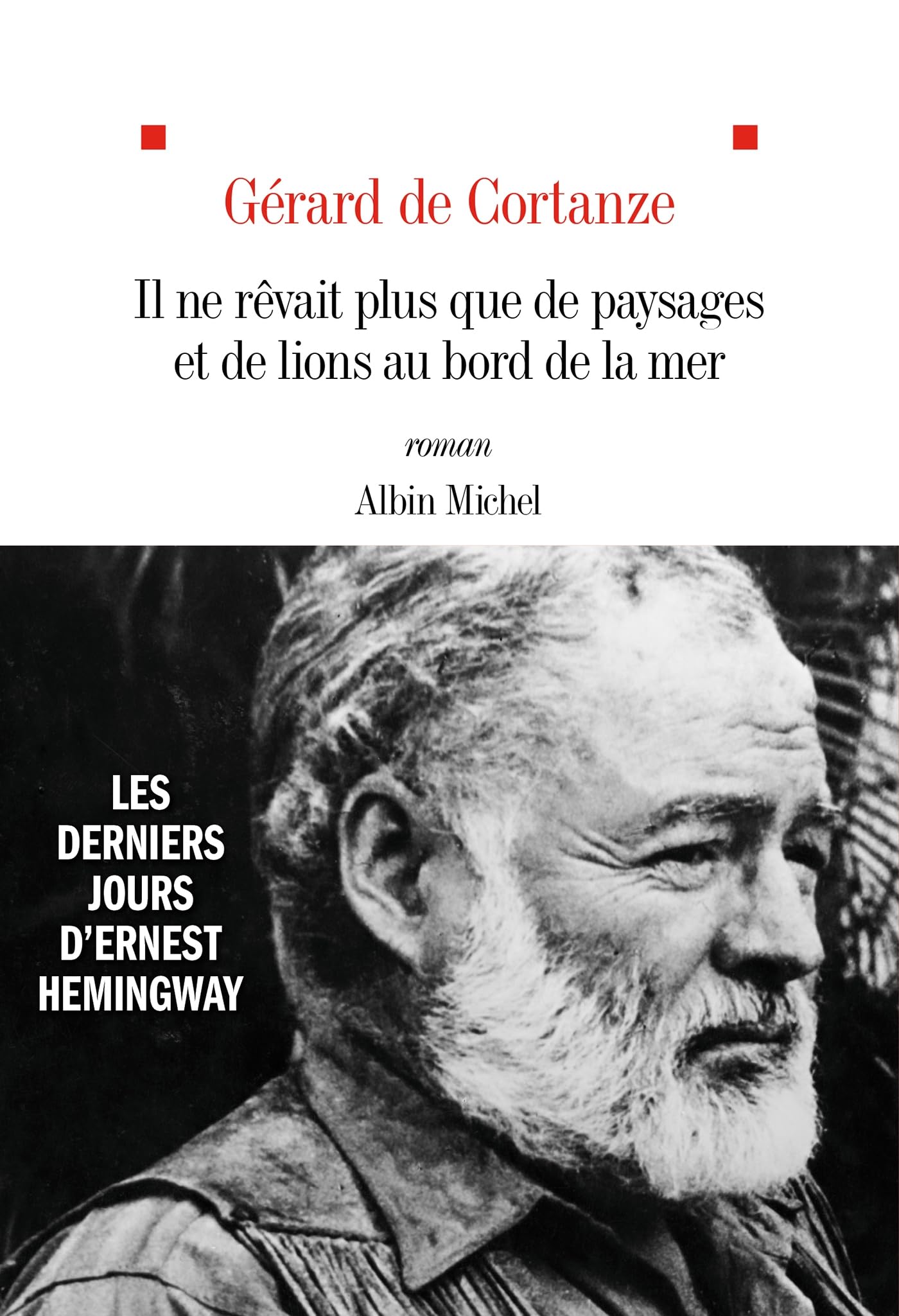 Il ne revait plus que de paysages et de lions au bord de la mer - les derniers jours d'ernest heming - Livre d'occasion