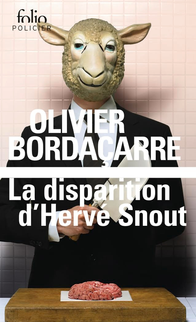 La disparition d'Hervé Snout - Livre d'occasion