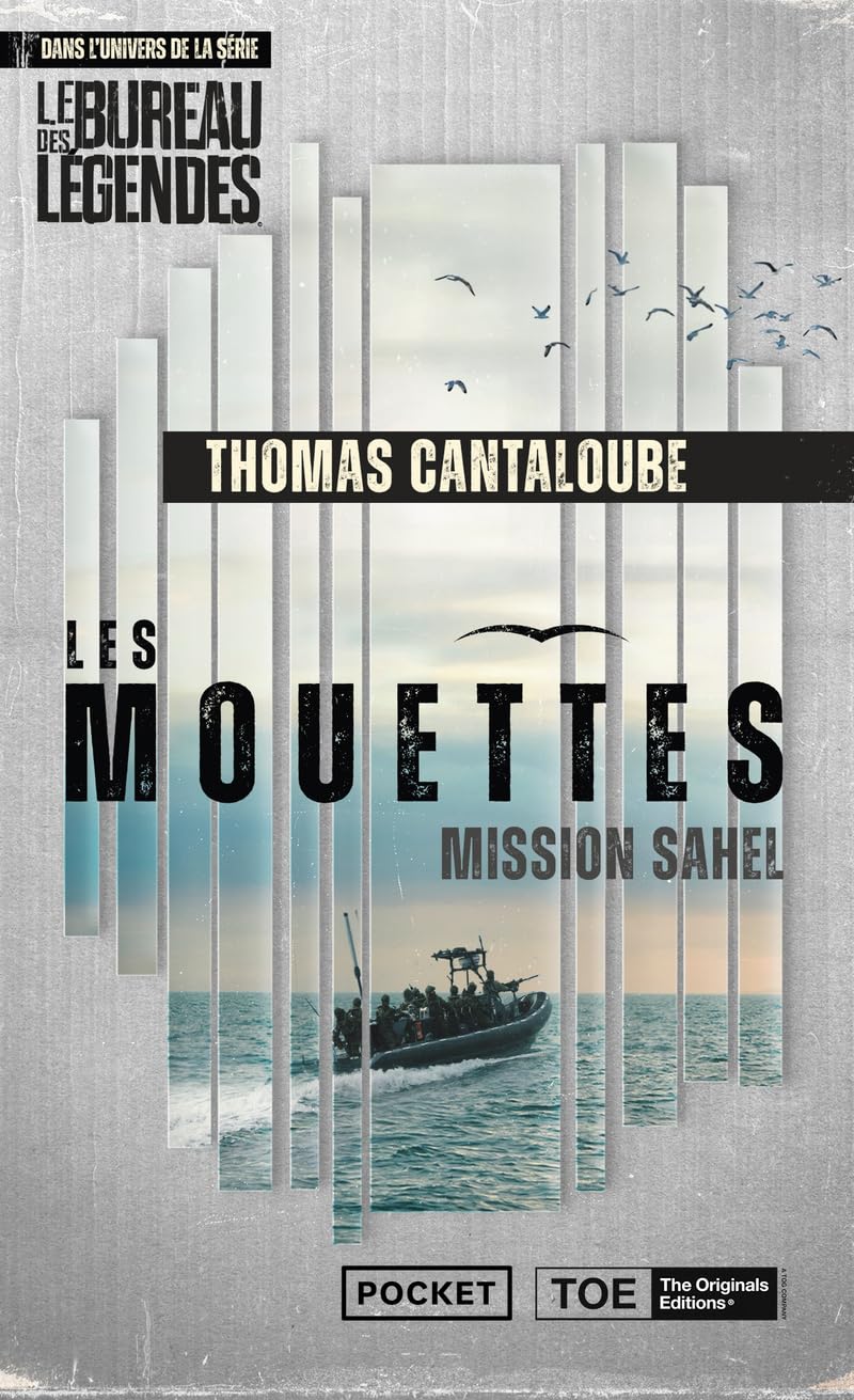 Les Mouettes - Mission Sahel - Livre d'occasion