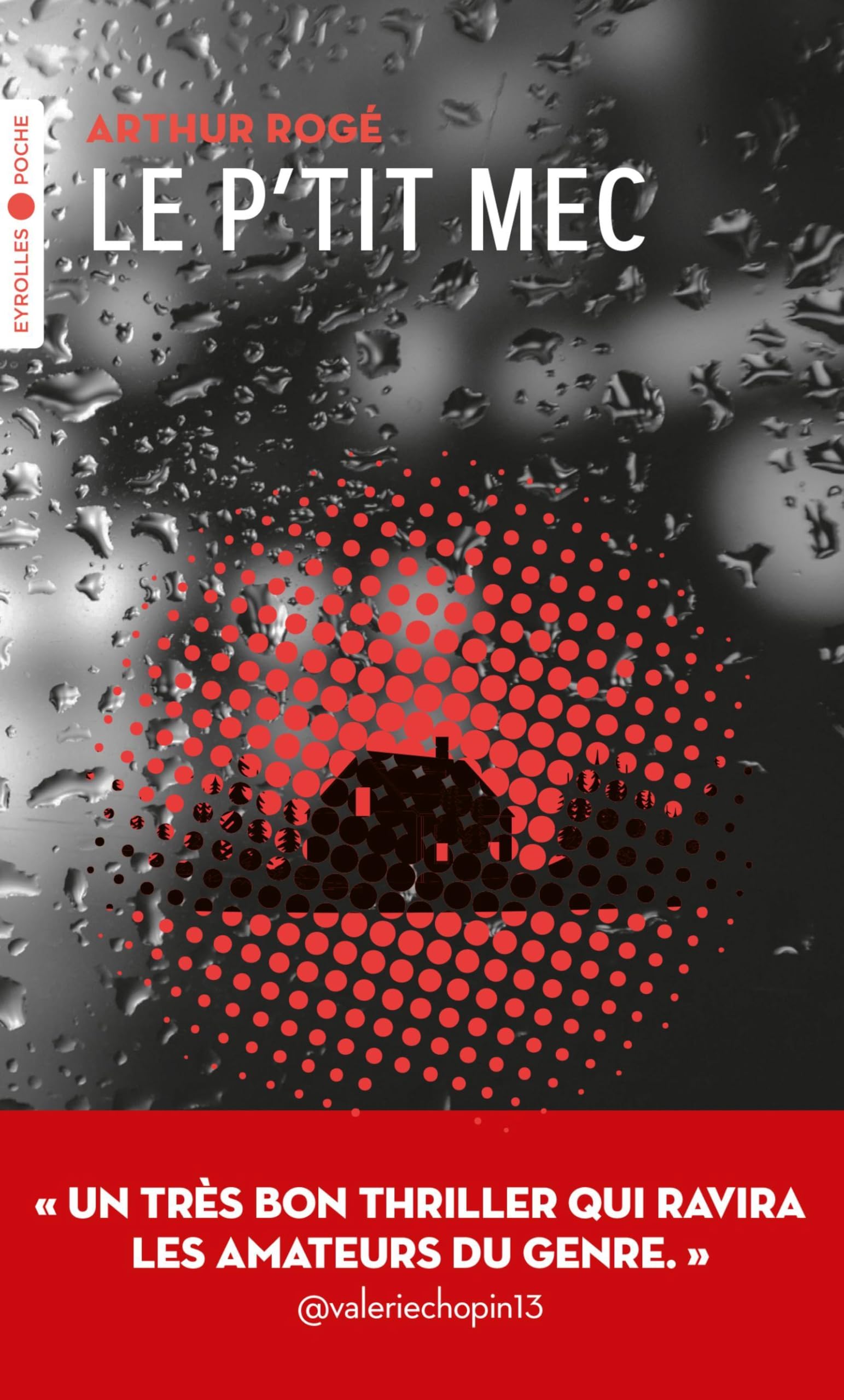 Le p'tit mec - Livre d'occasion