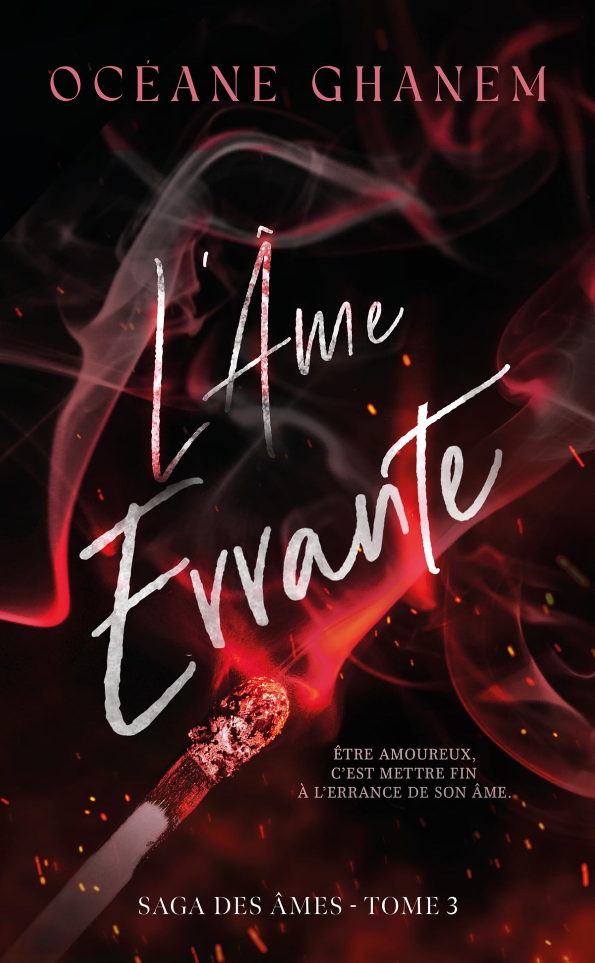 La saga des ames - l'ame errante - saga des ames tome 3 - apres l'ame bleue - Livre d'occasion