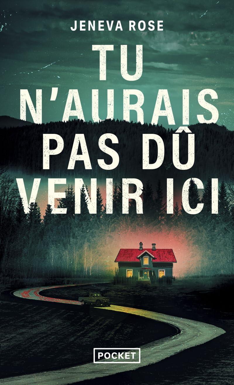 Tu n'aurais pas dû venir ici - Livre d'occasion