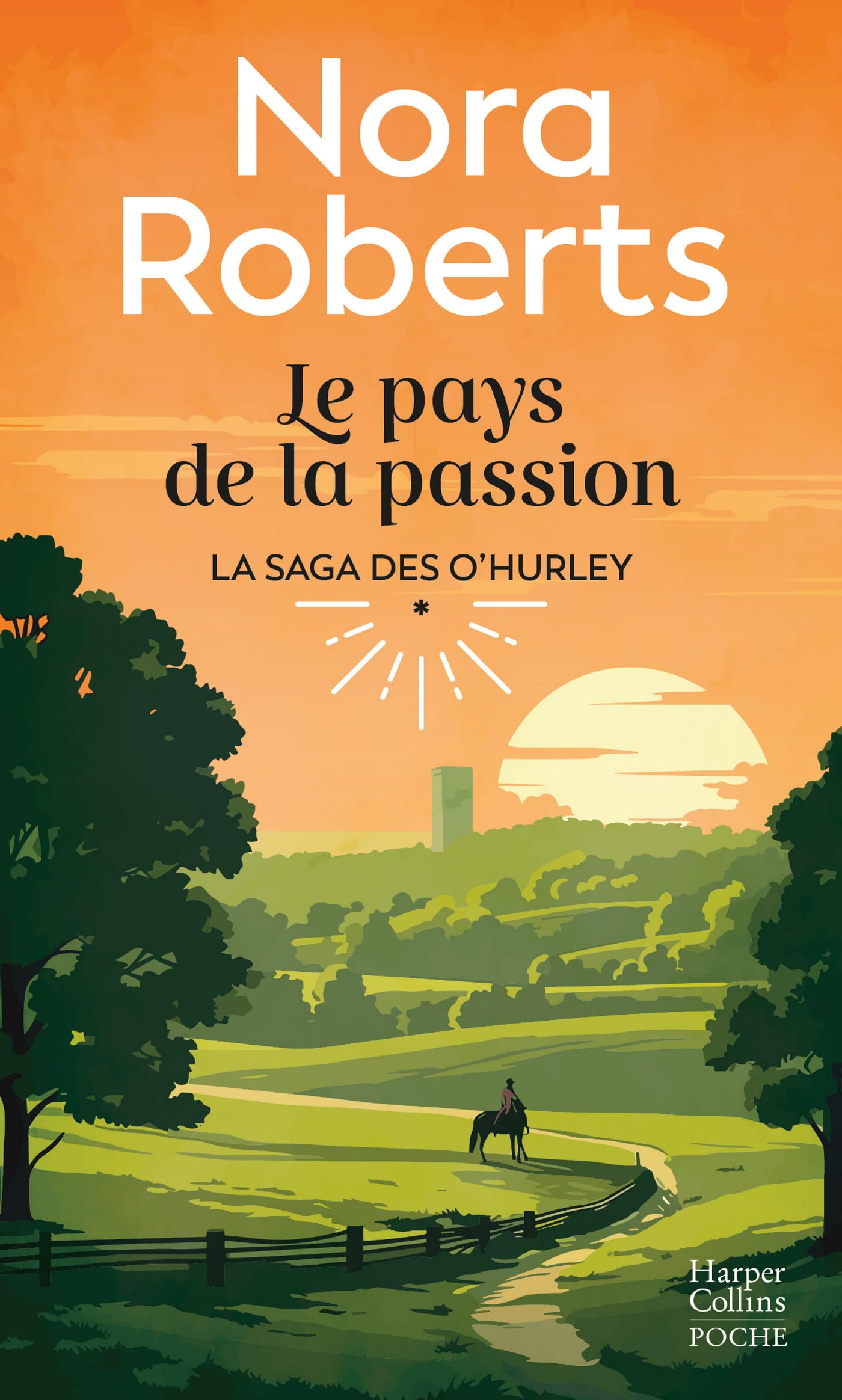 La saga des o'hurley - t01 - le pays de la passion - le premier tome de la saga o'hurley 1 - Livre d'occasion