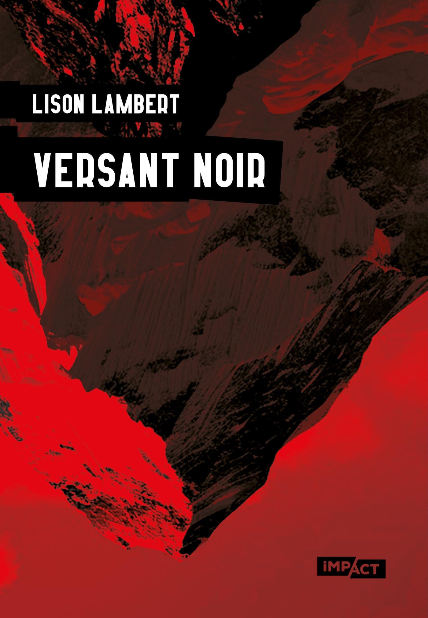 Versant Noir - Livre d'occasion
