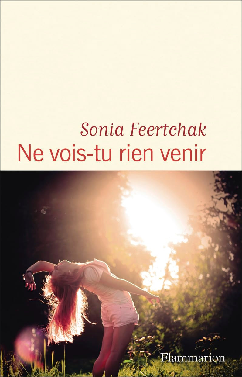 Ne vois-tu rien venir - Livre d'occasion