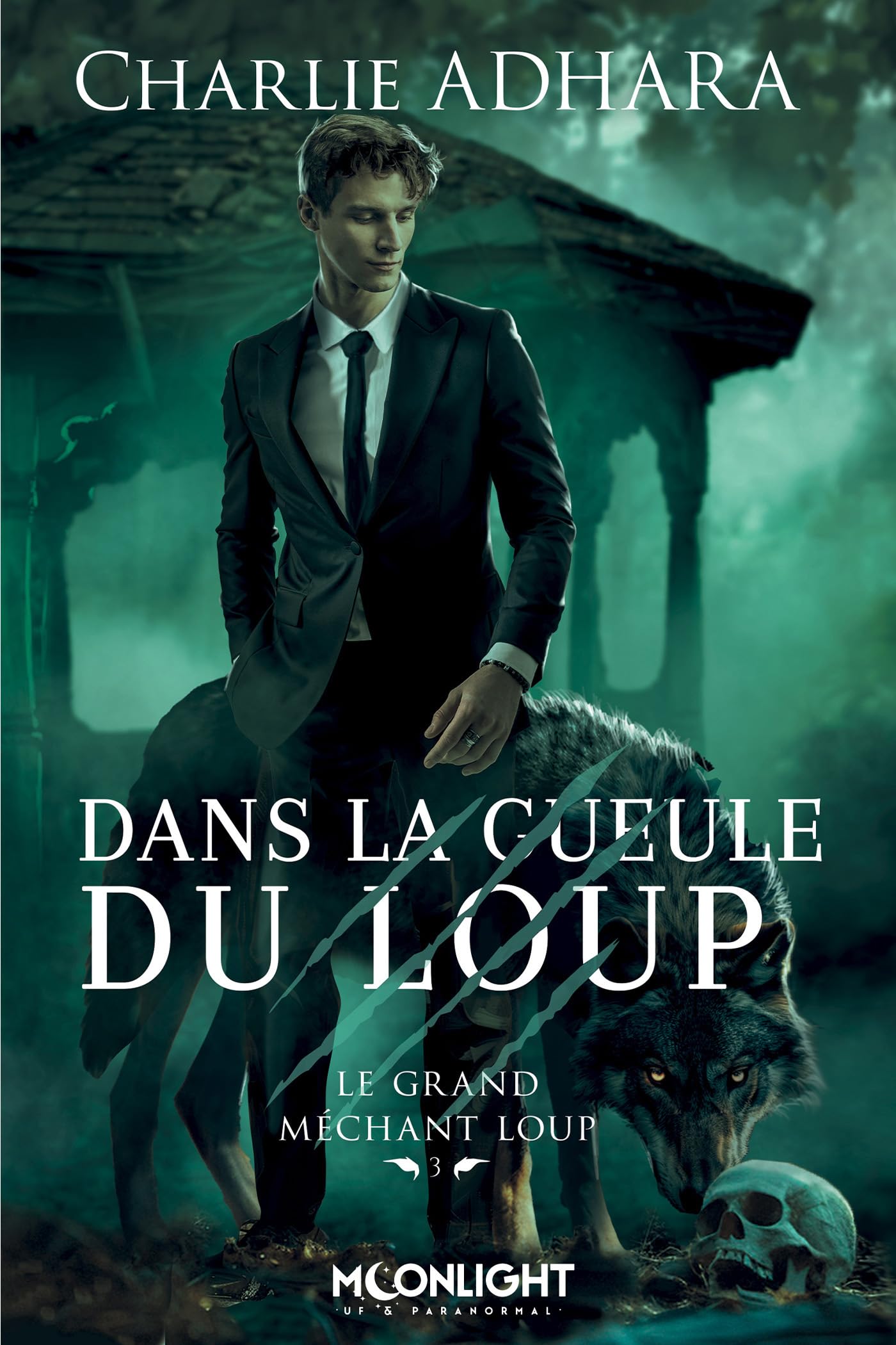 Dans la gueule du loup - le grand mechant loup 3 - Livre d'occasion