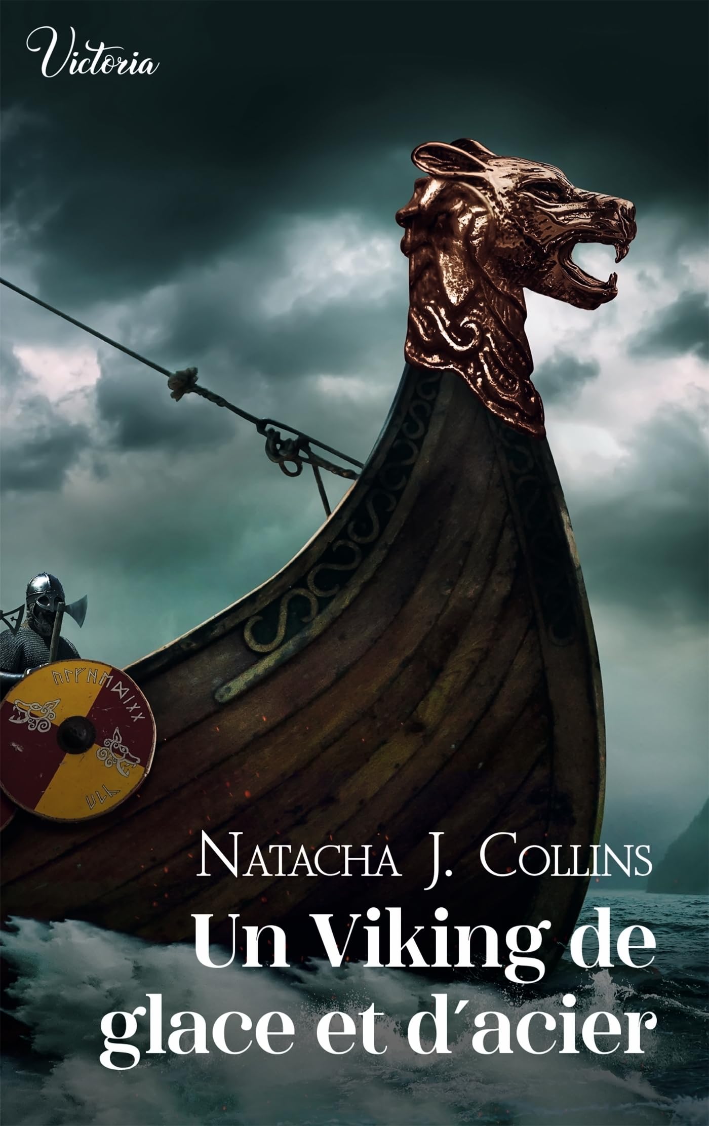 Un Viking de glace et d'acier - Livre d'occasion