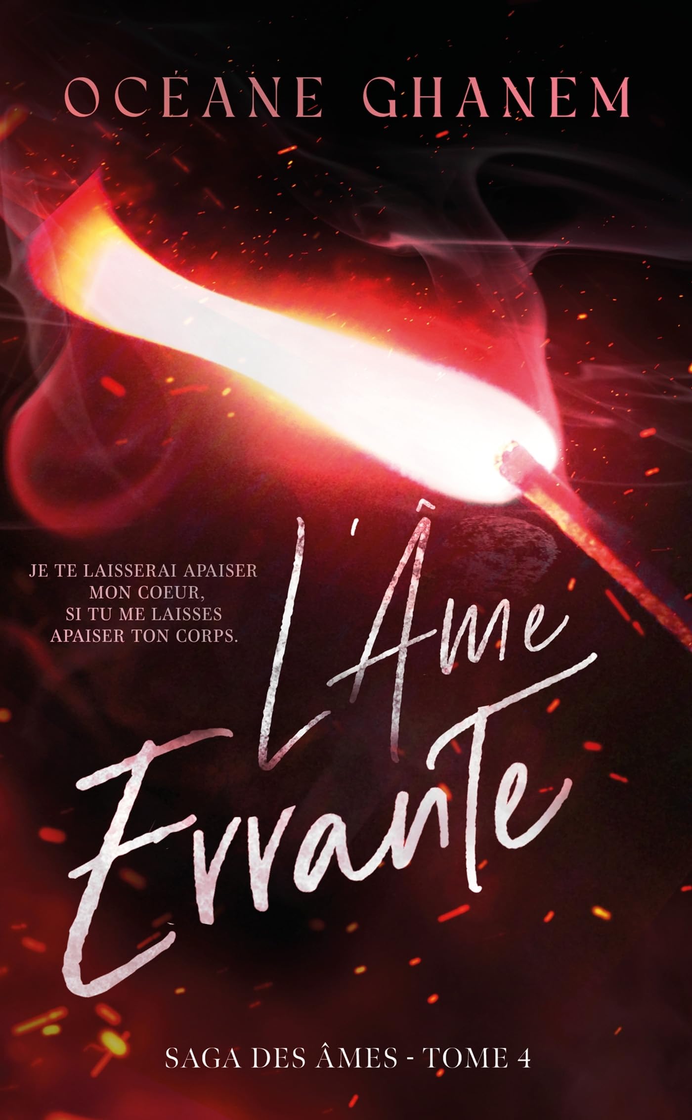 La saga des ames - l'ame errante - saga des ames tome 4 - Livre d'occasion