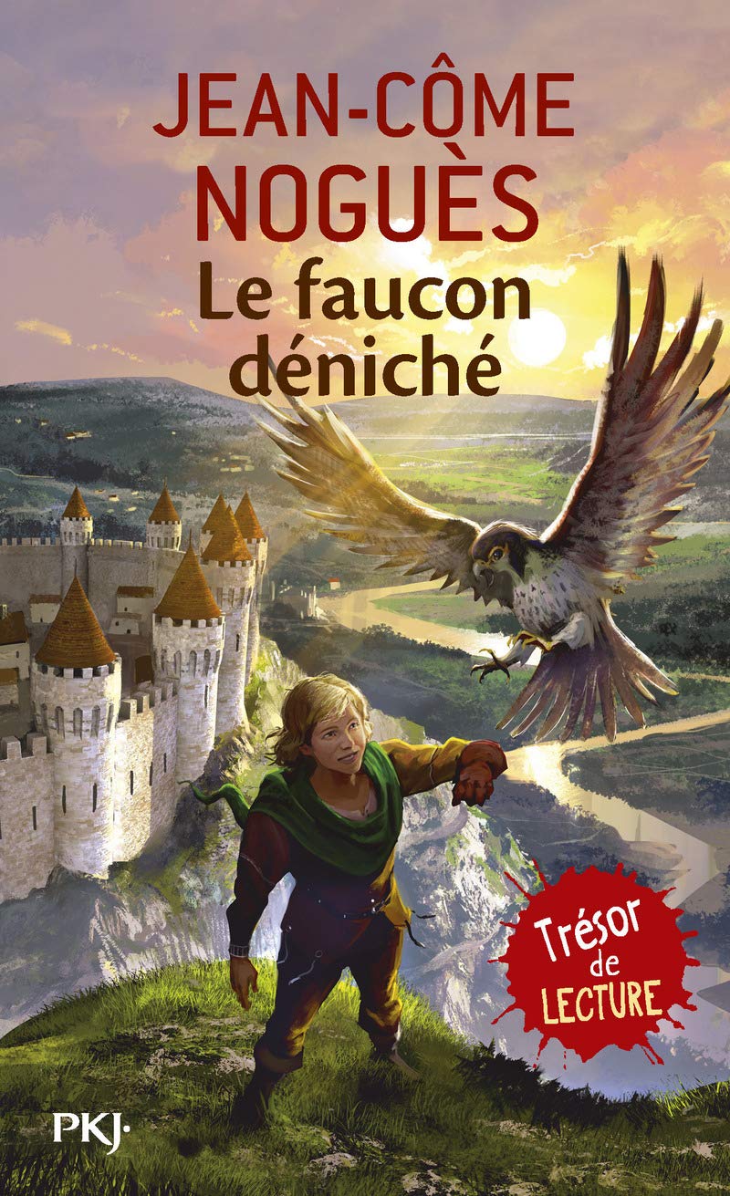 Le faucon déniché - Livre d'occasion