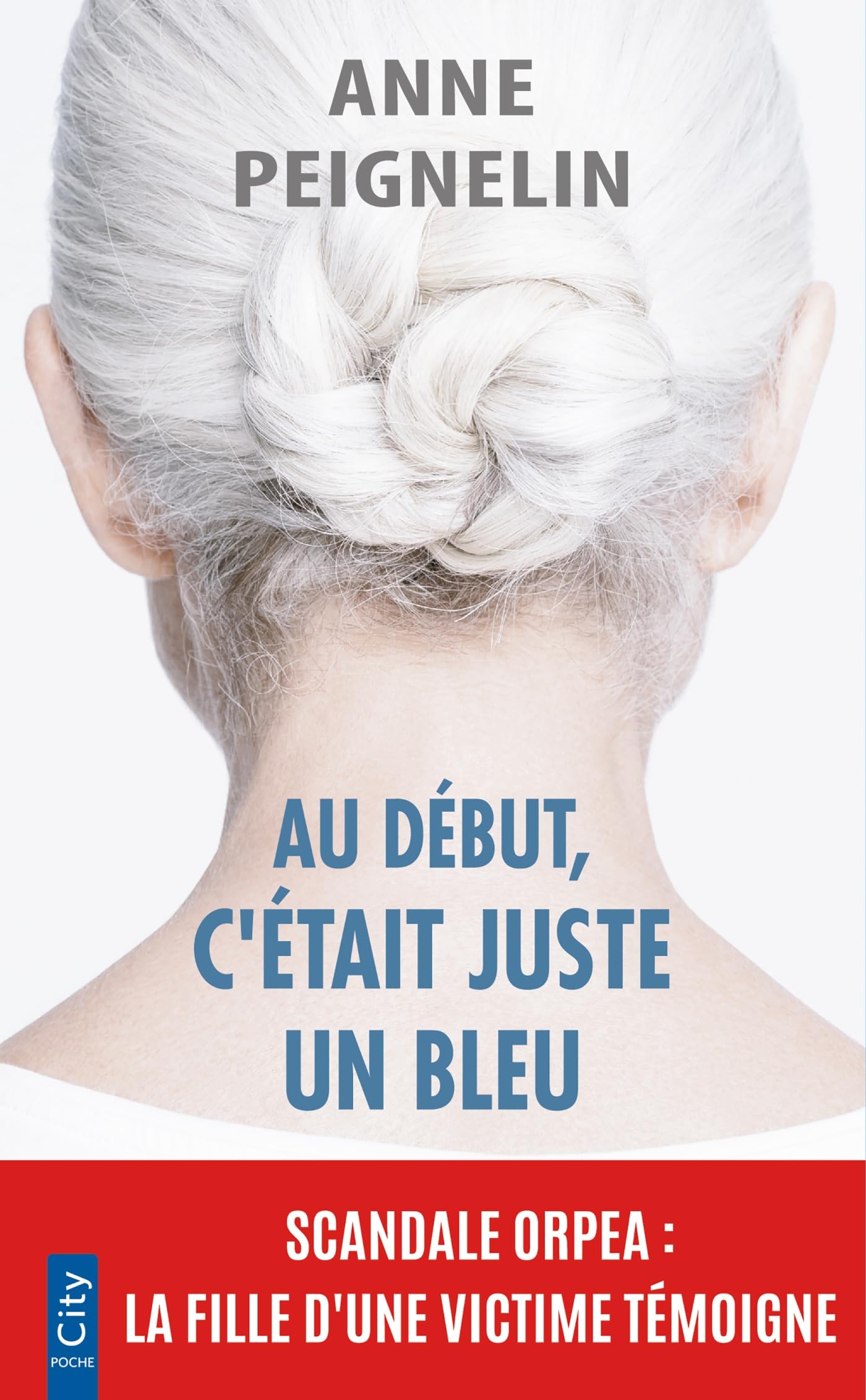 Au début, c'était juste un bleu - Livre d'occasion