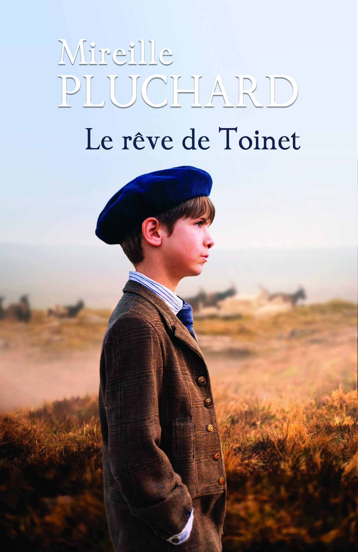 Le reve de toinet - Livre d'occasion