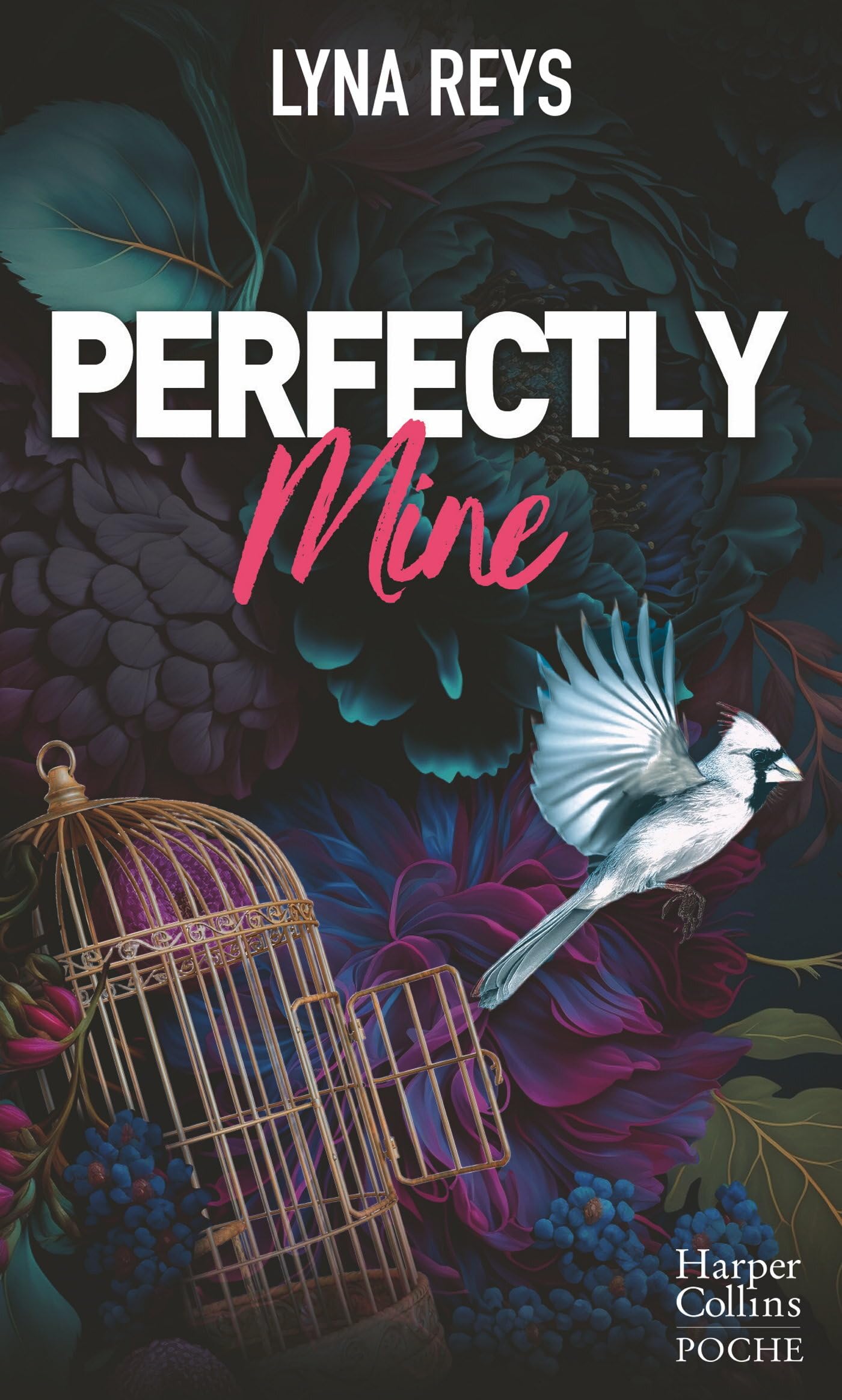 Perfectly Mine: En amour, tout n'est pas parfait - Livre d'occasion